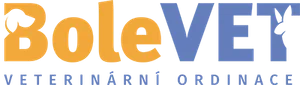 BoleVET Logo alfa